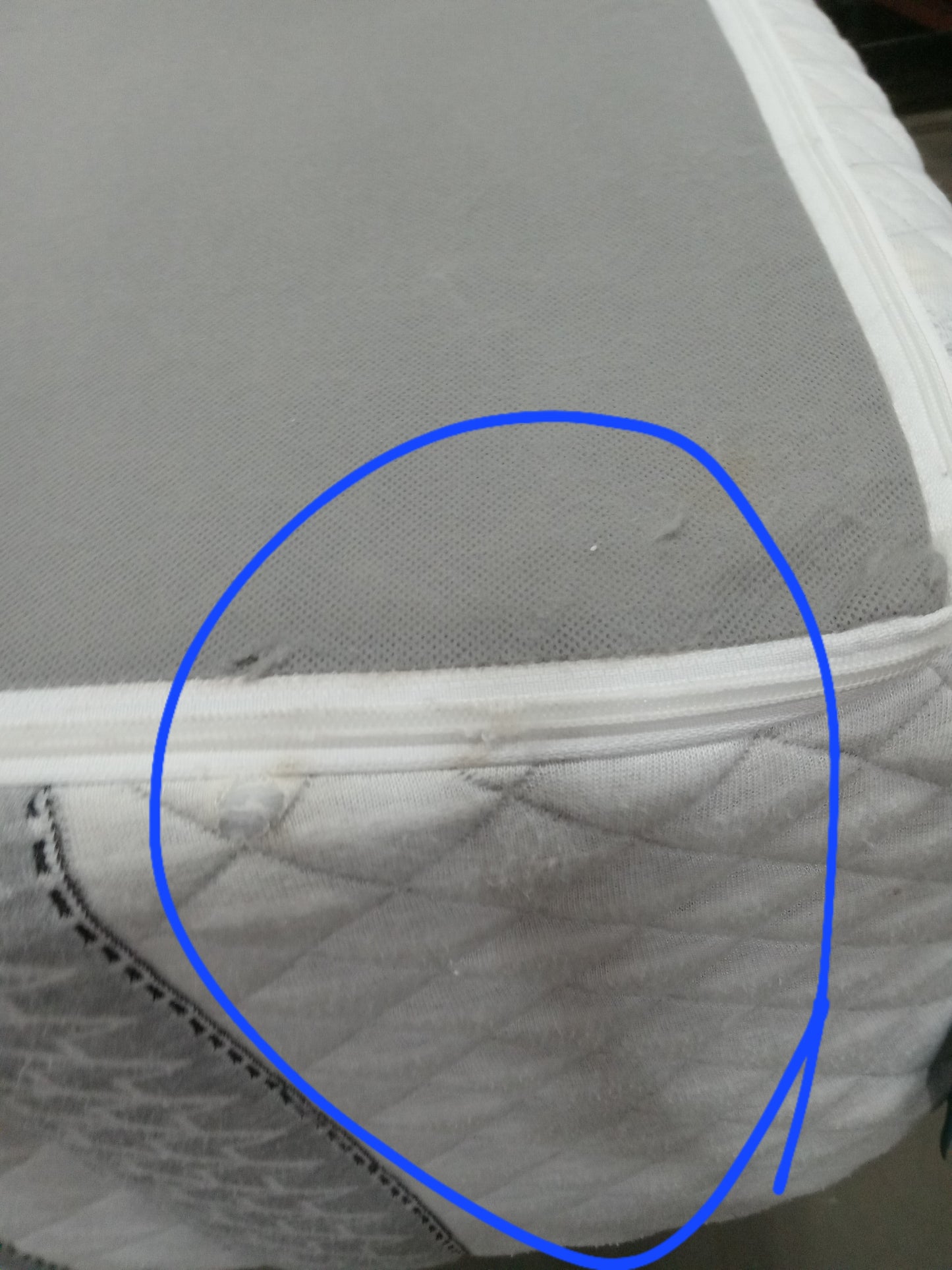 Leesa |Hybrid | 11" Queen Mattress