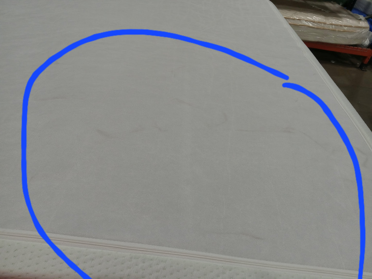 Zinus | 12'' Memory Foam | Queen Mattress