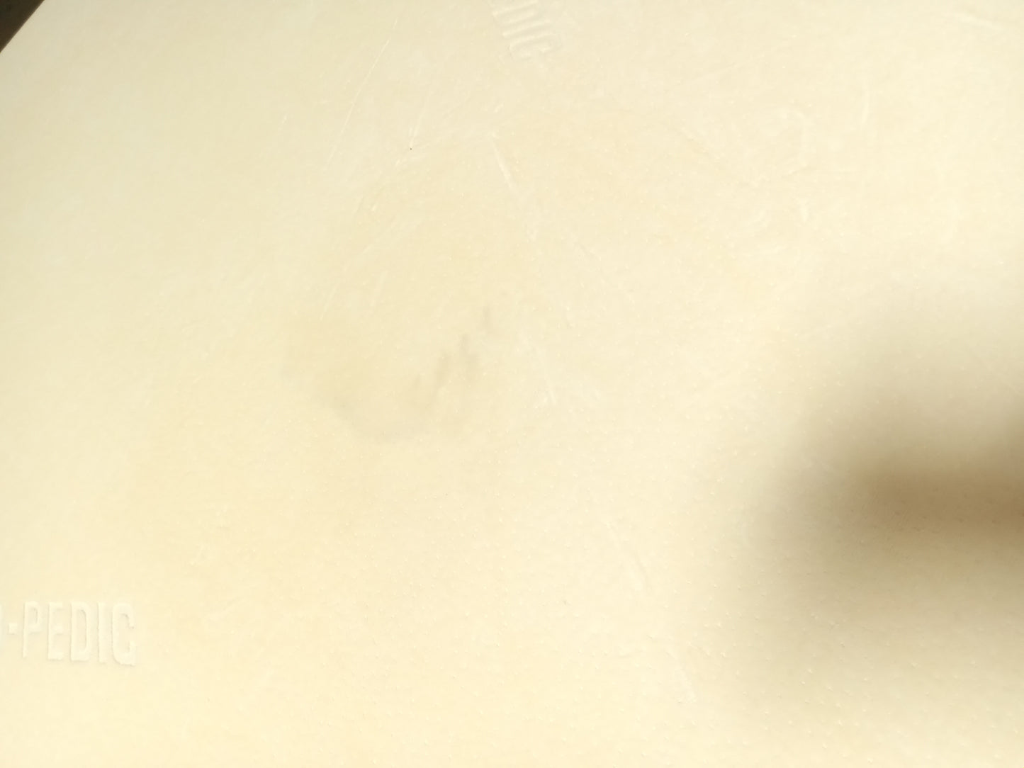 Bob-O-Pedic | 8'' Memory Foam | Queen Mattress