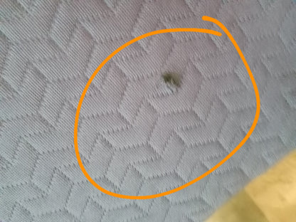 Bed In A Box | The Original | 11" Queen Mattress