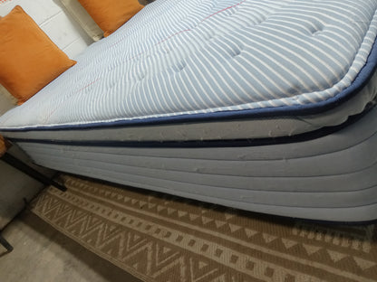 Sealy | Plus Ellie Lane Medium Pillowtop | 13" Queen Mattress