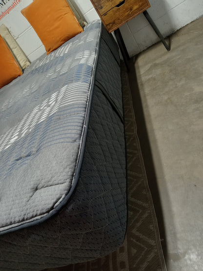 Sealy | Carrington Chase Clairebrook | 12" Queen Mattress