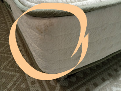 Avocado | Green |  11'' Queen Mattress