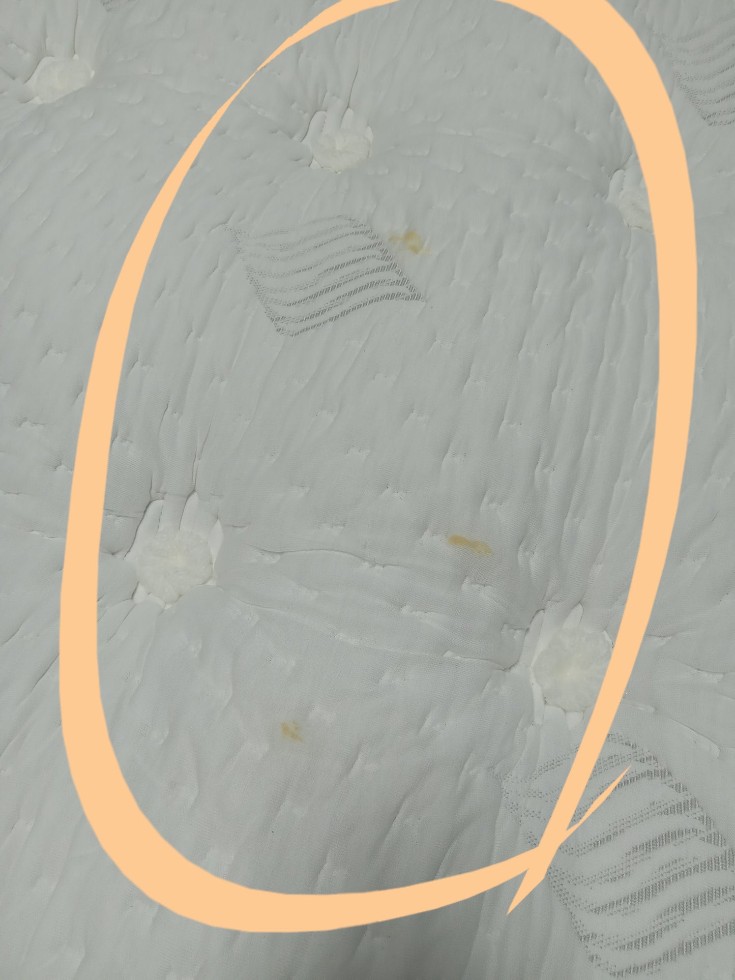 Aireloom | Preffered Solano Luxe Top Plush | 14" King Mattress
