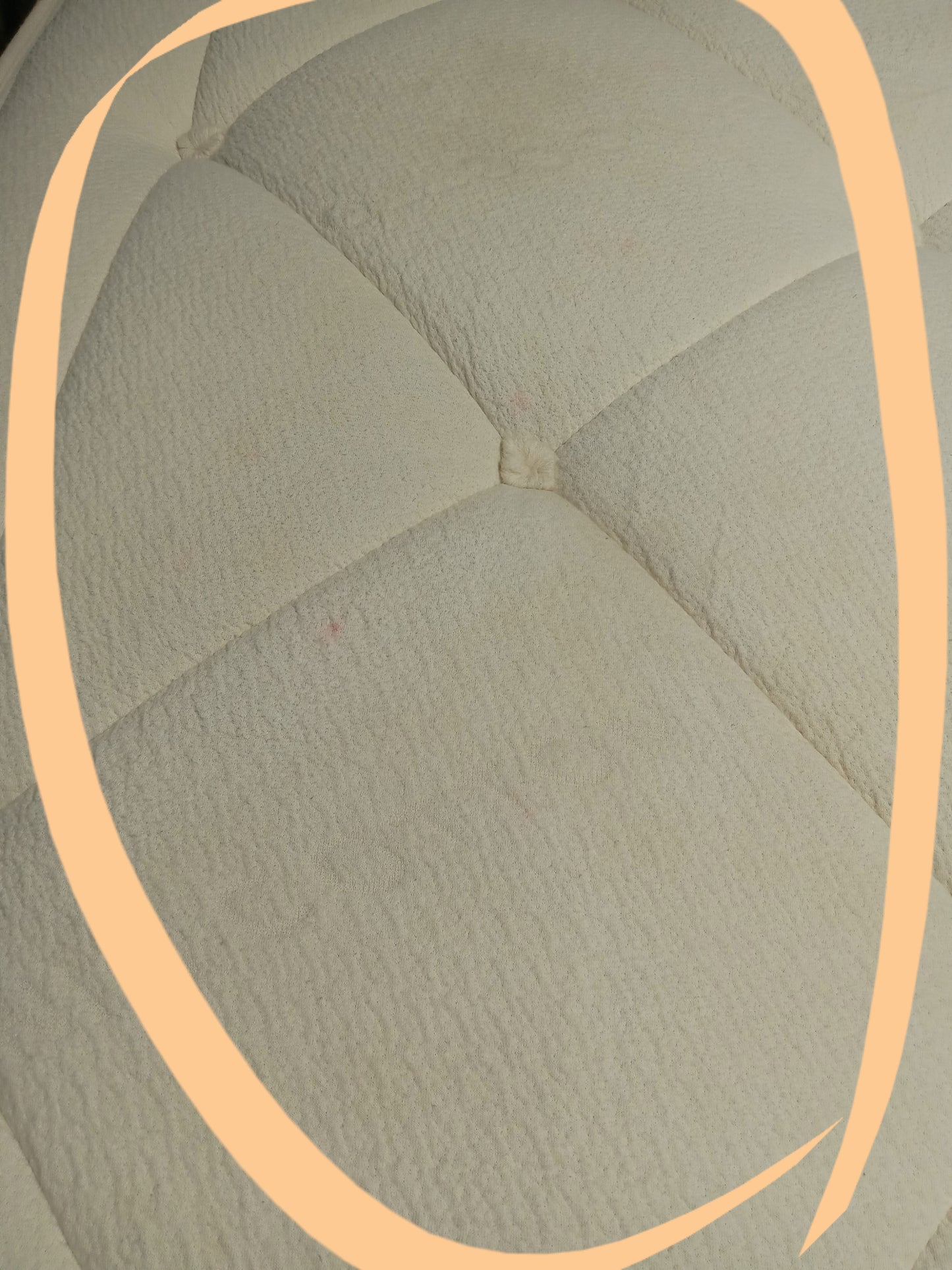 Avocado | Luxury Organic | 17" King mattress