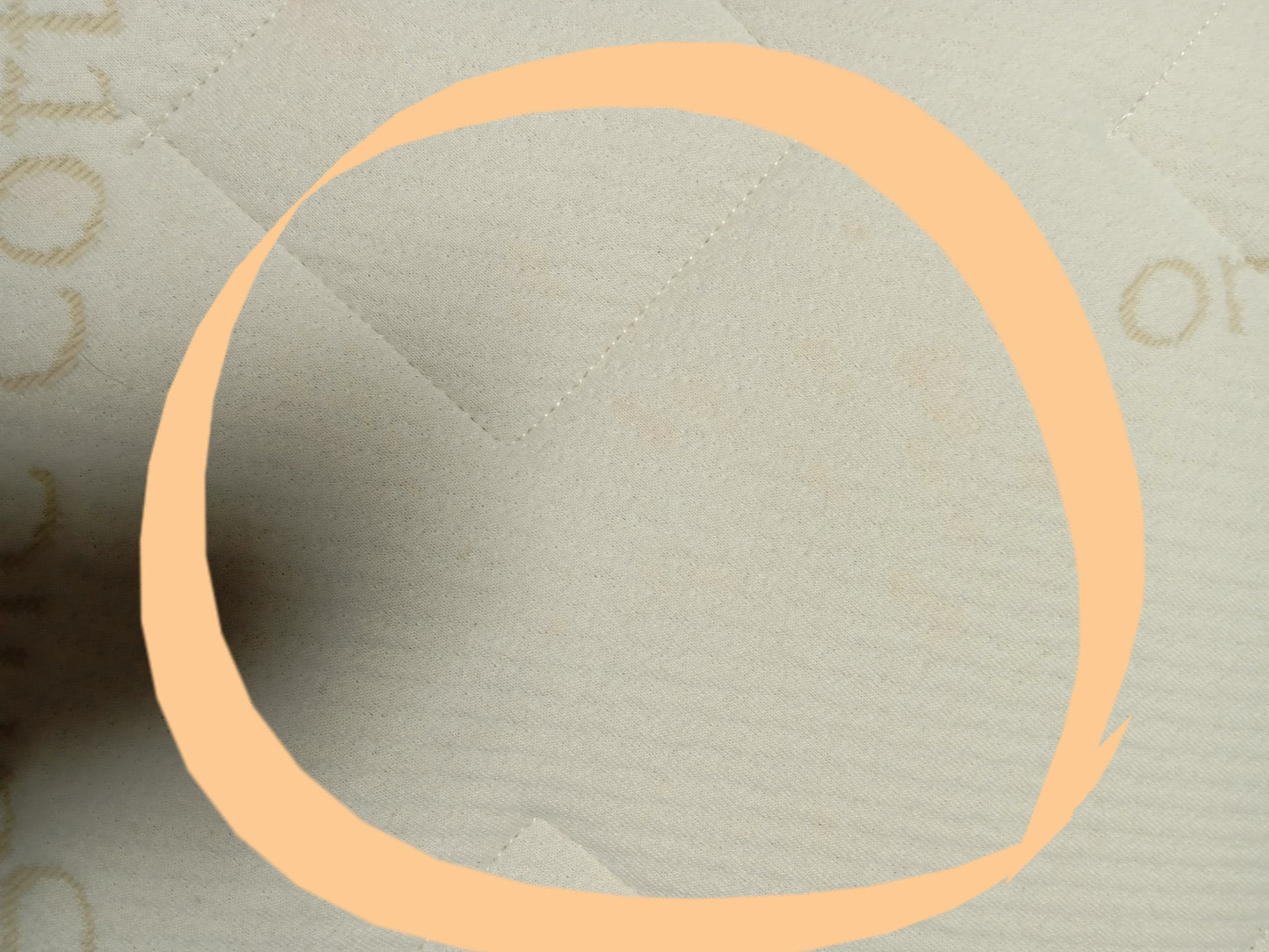Naturepedic | EOS | Classic Organic Vegan | 12'' Queen Mattress