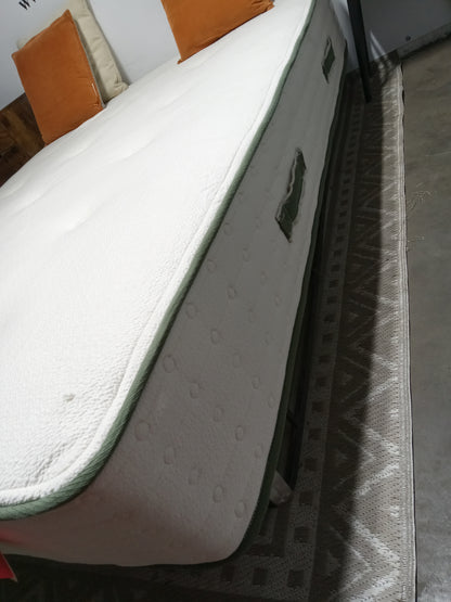 Avocado | Green | 10'' Mattress