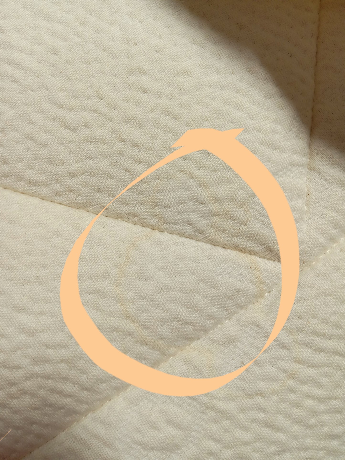 Avocado | Luxury Organic | 16" King mattress