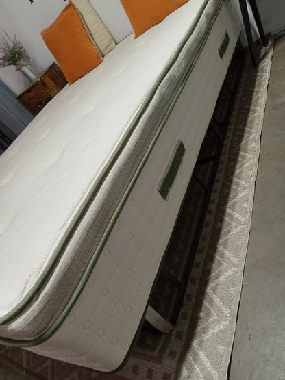 Avocado | Green 14" | Queen Mattress