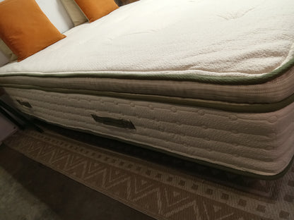 Avocado | Green 14" | Queen Mattress