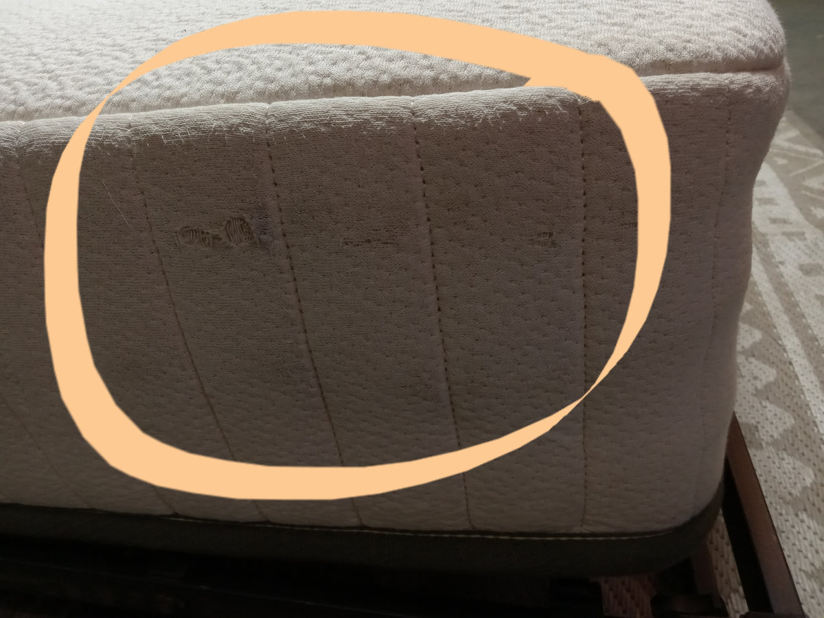 Avocado | Eco Organic Kids 7" | Twin Mattress