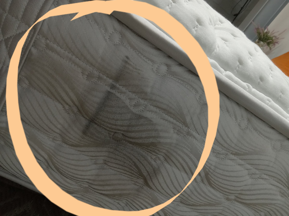 Aireloom | Timeless Odyssey II Grafton Plush 13" | King Mattress